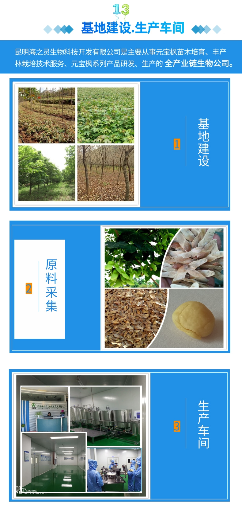 15支產(chǎn)品詳情頁正13.jpg