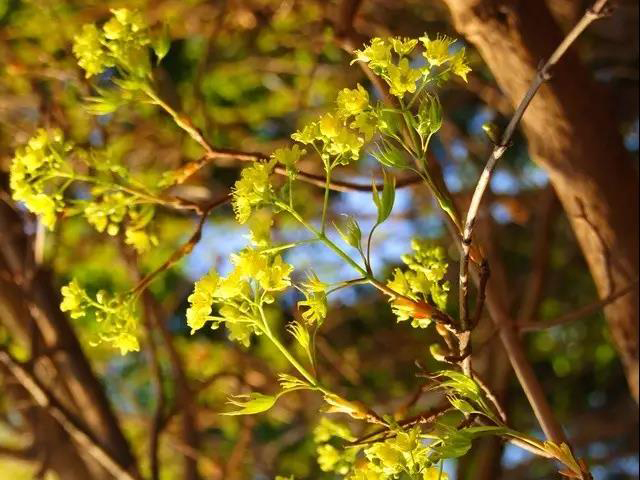 昆明海之靈生物科技開(kāi)發(fā)有限公司