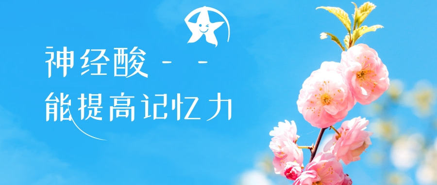 記憶力.jpg