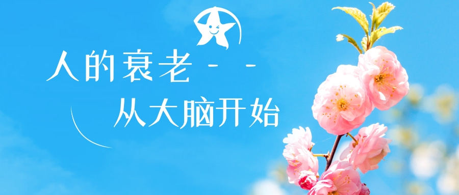 大腦衰老.jpg