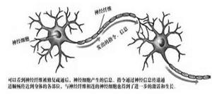 昆明海之靈生物科技開發(fā)有限公司